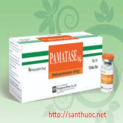 PAMATASE 40mg - Thuốc chống việ hiệu quả