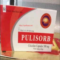 Pulisorb 500mg - Thuốc điều trị rối loạn mạch máu não hiệu quả