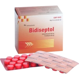 Bidinam - Thuốc điều trị bệnh nhiễm khuẩn hiệu quả của Bidiphar 1
