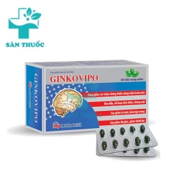 Ginkovipo Mediplantex - Hỗ trợ tăng cường tuần hoàn não