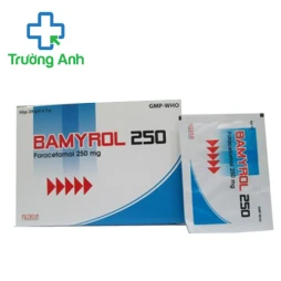 Bamyrol 250 - Thuốc giảm đau hạ sốt của Medisun