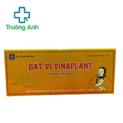 Thập toàn đại bổ Vinaplant (hoàn cúng) - Thuốc bồi bổ sức khỏe