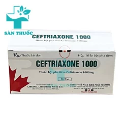 Ceftazidime 1000 Tenamyd - Thuốc trị nhiễm khuẩn hiệu quả