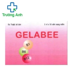 Gelabee Phil Inter Pharma - Bổ sung và điều trị bệnh do thiếu vitamin nhóm B