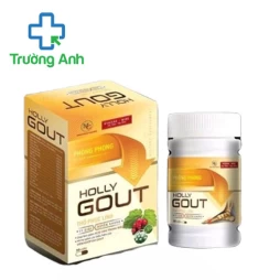 Holly Gout Dolexphar - Hỗ trợ điều trị bệnh gout