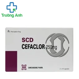 SCD Cefaclor 250mg Pymepharco - Thuốc kháng sinh điều trị nhiễm khuẩn