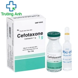 Cefotaxone 1g Bidiphar - Thuốc điều trị nhiễm khuẩn nặng hiệu quả