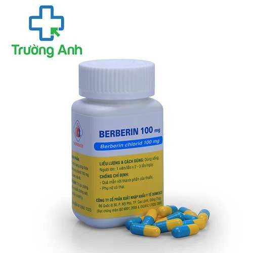 Berberin 100mg Domesco - Thuốc điều trị tiêu chảy hiệu quả