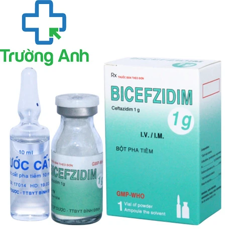 Bicefzidim 1g - Thuốc điều trị nhiễm khuẩn của Bidiphar