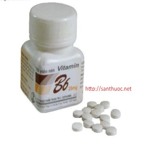 Vitamin B6 25mg Bot.100 Thuốc giúp bổ sung vitamin B6 hiệu quả