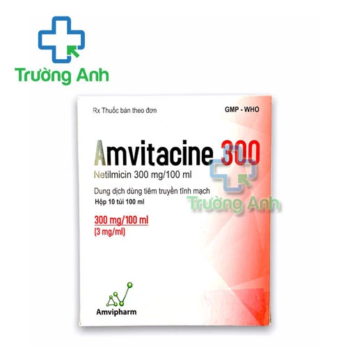 Amvitacine 300 Amvipharm - Thuốc kháng sinh điều trị nhiễm khuẩn