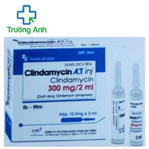 Clindamycin A.T Inj - Thuốc điều trị nhiễm khuẩn của An Thiên