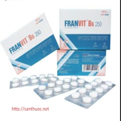 Franvit B6 - Giúp bổ sung vitamin B6 hiệu quả