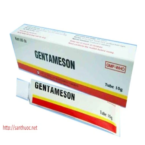 Gentameson 10g - Thuốc điều trị viêm da hiệu quả