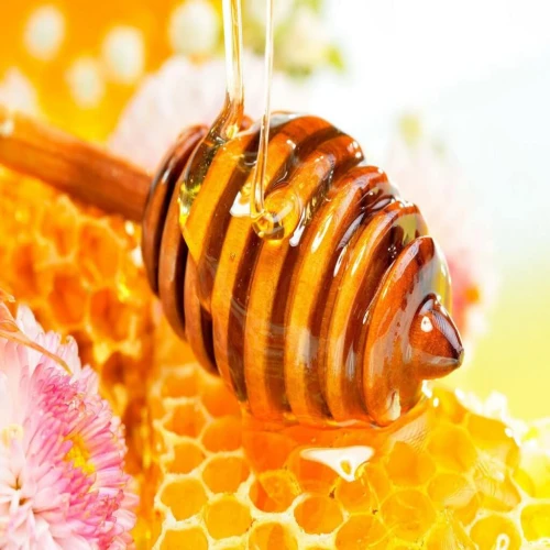 Mật ong - Công dụng, liều dùng, kiêng kị khi sử dụng mật ong