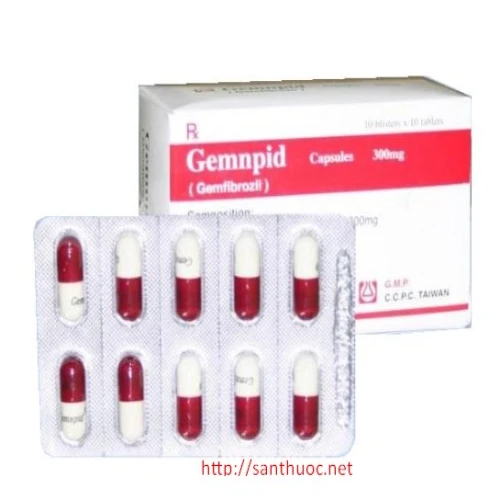 Gemnpid 300 - Thuốc điều trị bệnh tăng cao Lipoprotein máu hiệu quả