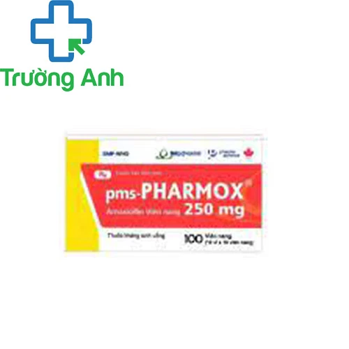 Pms - Pharmox 250 mg - Thuốc điều trị nhiễm khuẩn của Imexpharm