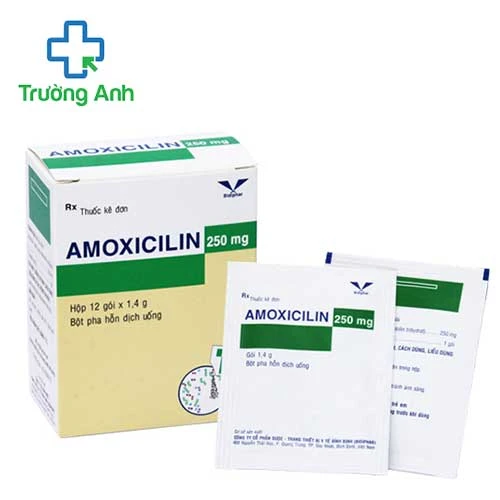 Amoxicilin 250mg Bidiphar - Thuốc trị nhiễm khuẩn