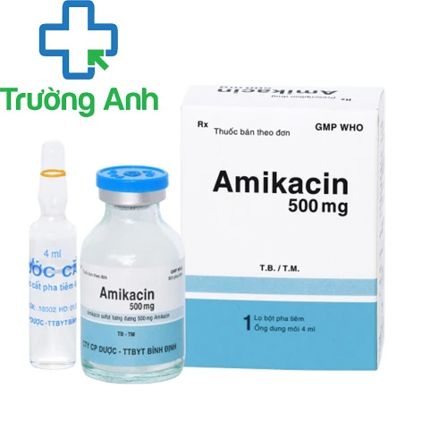 Amikacin 500mg - Thuốc điều trị nhiễm khuẩn của Bidiphar