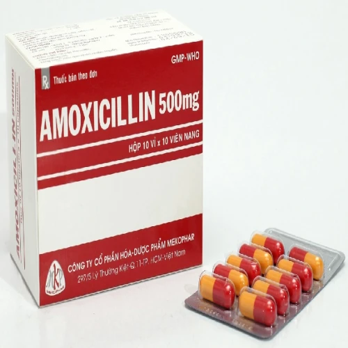 Amoxicillin 500mg Mekophar - Điều trị các loại nhiễm trùng do vi khuẩn