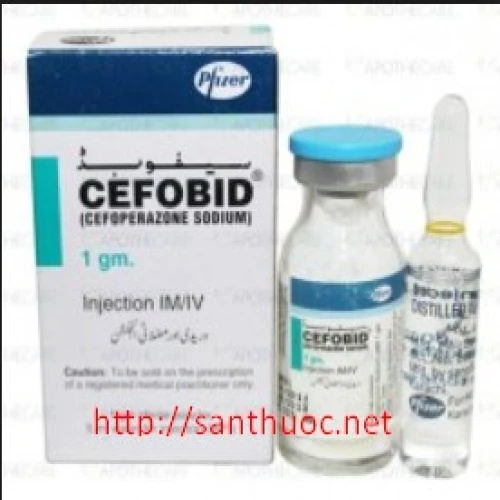 Cefobid 1g - Thuốc điều trị nhiễm khuẩn hiệu quả của Ý