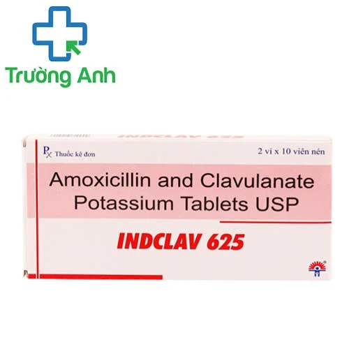INDCLAV 625 - Thuốc điều trị nhiễm khuẩn của Ấn Độ