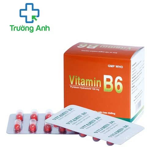 Vitamin B6 100mg - Thuốc tăng cường vitamin B6 của Bidiphar