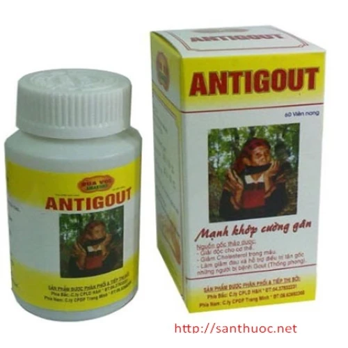 ANTIGOUT - Thực phẩm chức năng hỗ trợ điều trị bệnh gout hiệu quả