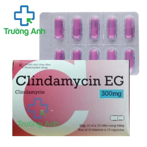 Clindamycin EG 300mg - Điều trị bệnh nhiễm khuẩn của Pymepharco