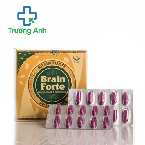 BRAIN FORTE - Thực phẩm chức năng bổ não hiệu quả của TRIFACO