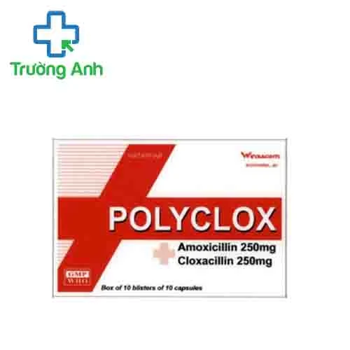 Polyclox 250mg/250mg- Thuốc điều trị nhiễm khuẩn của Haphatar