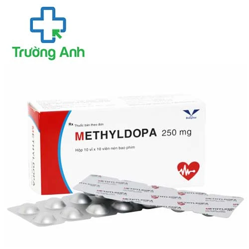 Methyldopa 250 Bidiphar - Thuốc điều trị huyết áp cao hiệu quả