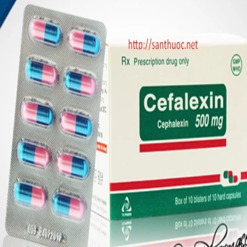 Cefalexin 500 VN - Thuốc điều trị nhiễm khuẩn hiệu quả