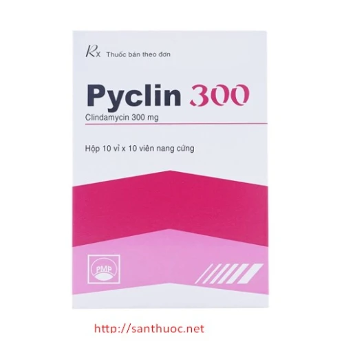 Pyclin 300mg - Thuốc điều trị nhiễm khuẩn hiệu quả