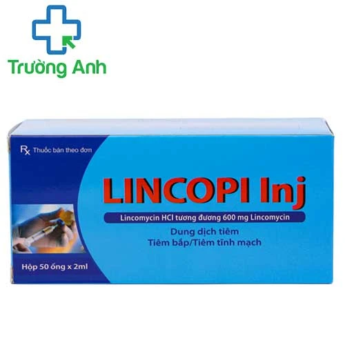 LINCOPI INJ - Thuốc điều trị nhiễm khuẩn của Furen Pharmaceutical