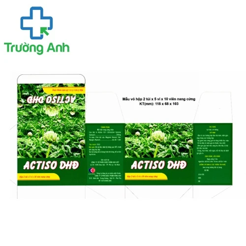 Actiso DHĐ - Cải thiện chức năng gan hiệu quả của dược Hoa Việt