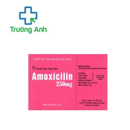Amoxicilin 250mg Pharbaco - Thuốc điều trị nhiễm khuẩn nhẹ