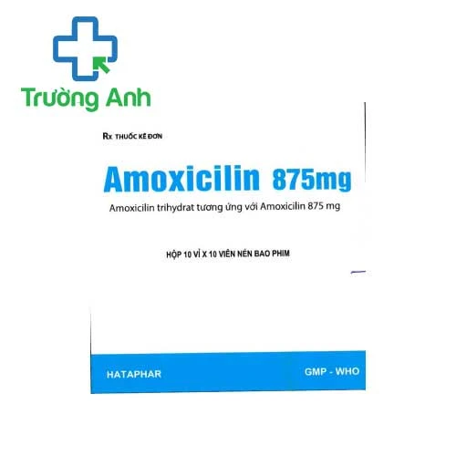 Amoxicilin 875mg Hataphar - Thuốc điều trị nhiễm khuẩn