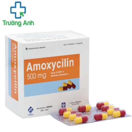 Amoxycilin 500mg Vidiphar - Thuốc điều trị nhiễm khuẩn hiệu quả