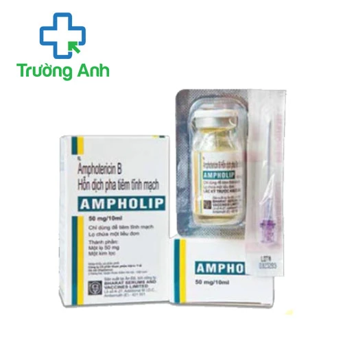 Ampholip 50mg/10ml Bharat - Thuốc điều trị nấm của Ấn Độ