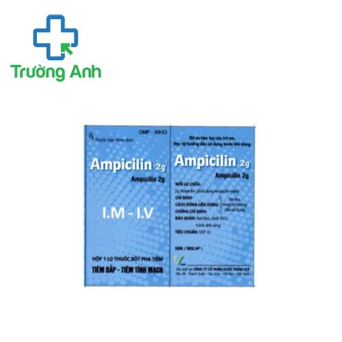 Ampicilin VCP 2g - Thuốc điều trị nhiễm khuẩn của Dược phẩm VCP