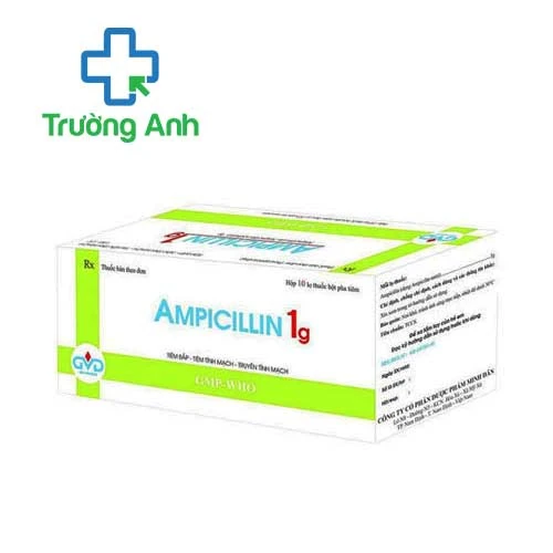Ampicillin 1g MD Pharco - Thuốc điều trị nhiễm khuẩn nặng