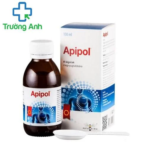 Apipol - Hỗ trợ giảm ho, bảo vệ niêm mạc miệng họng của Apipharma