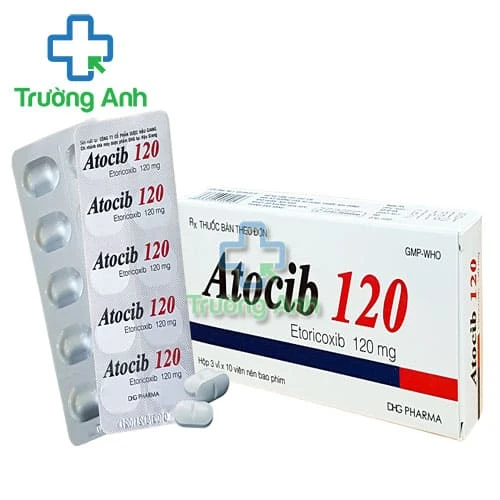 Atocib 120 DHG - Thuốc giảm đau và điều trị thoái hoá xương khớp