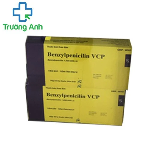 Benzylpenicilin VCP - Thuốc trị nhiễm khuẩn đường hô hấp hiệu quả