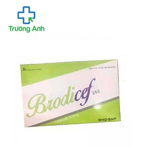 Brodicef 250 - Thuốc điều trị nhiễm trùng hiệu quả của Hataphar