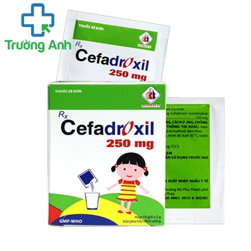 Cefadroxil 250mg Domesco - Thuốc chống nhiễm khuẩn hiệu quả