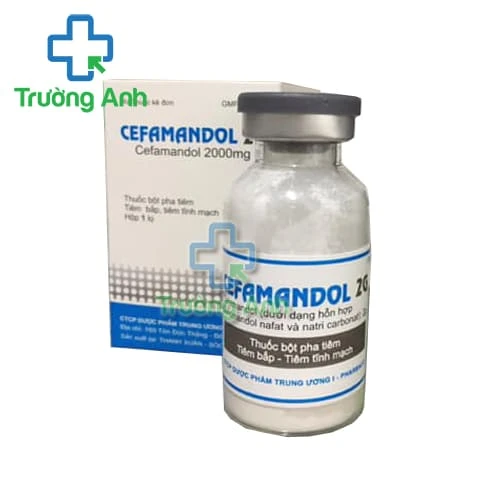Cefamandol 2g Pharbaco - Thuốc điều trị nhiễm khuẩn hiệu quả