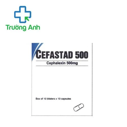 Cefastad 500 Pymepharco - Điều trị các bệnh lý nhiễm trùng