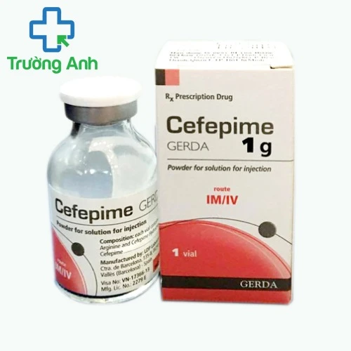 Cefepime Gerda 1g - Thuốc điều trị nhiễm khuẩn hiệu quả